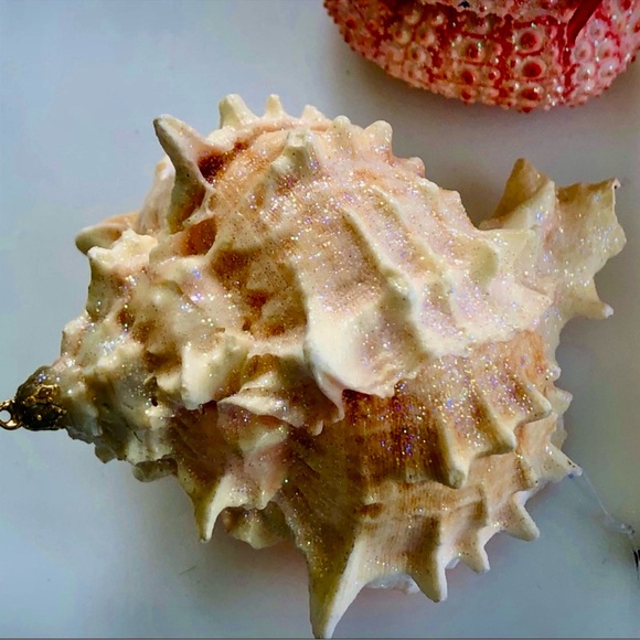 New!  Pink Seashell Christmas Tree ORNAMENTS - Picture 5 of 7